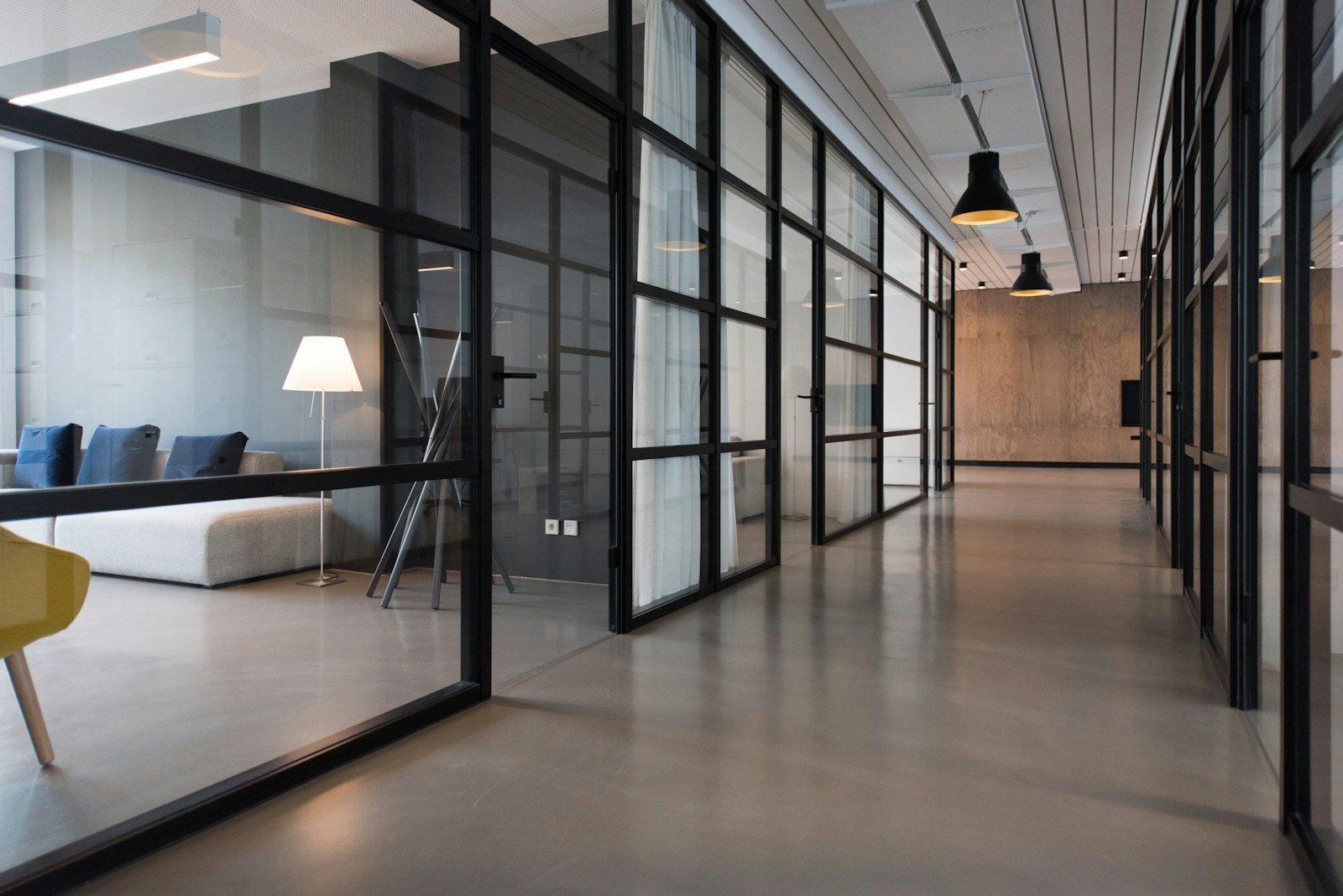 Natural light in a modern office with meeting spaces and indoor plants